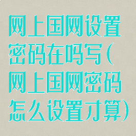 网上国网设置密码在吗写(网上国网密码怎么设置才算)