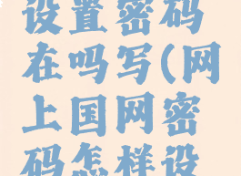 网上国网设置密码在吗写(网上国网密码怎样设置)