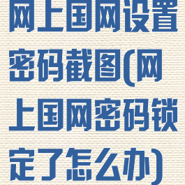 网上国网设置密码截图(网上国网密码锁定了怎么办)