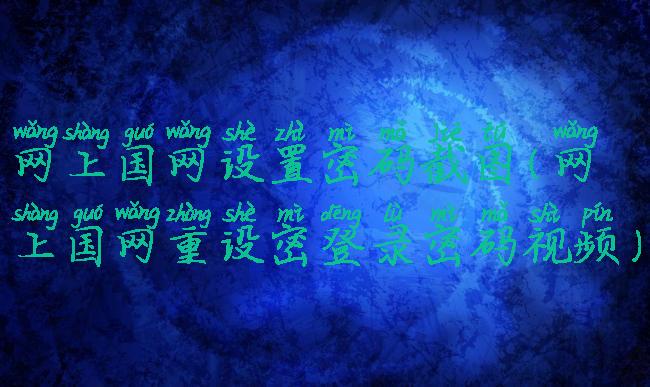 网上国网设置密码截图(网上国网重设密登录密码视频)