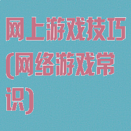 网上游戏技巧(网络游戏常识)