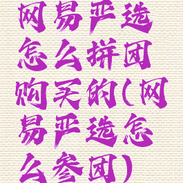 网易严选怎么拼团购买的(网易严选怎么参团)