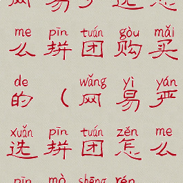 网易严选怎么拼团购买的(网易严选拼团怎么拼陌生人)