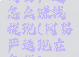 网易严选怎么赚钱提现(网易严选现在怎样)