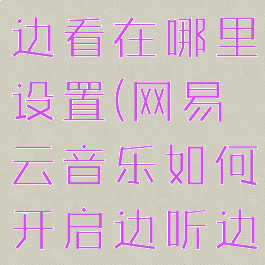 网易云边听边看在哪里设置(网易云音乐如何开启边听边存)