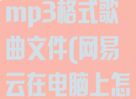 网易云音乐电脑版怎么下载mp3格式歌曲文件(网易云在电脑上怎么下载mp3格式的歌)