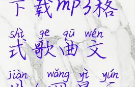 网易云音乐电脑版怎么下载mp3格式歌曲文件(网易云电脑如何下载mp3格式)