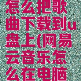 网易云音乐电脑版怎么把歌曲下载到u盘上(网易云音乐怎么在电脑上下载歌曲到u盘)