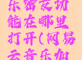 网易云音乐密友功能在哪里打开(网易云音乐加密吗)