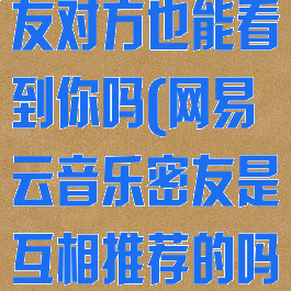 网易云音乐密友对方也能看到你吗(网易云音乐密友是互相推荐的吗)