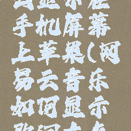 网易云音乐歌词怎么显示在手机屏幕上苹果(网易云音乐如何显示歌词在桌面苹果手机)