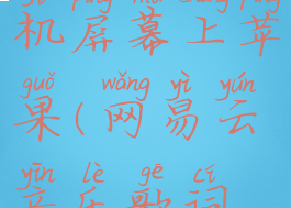 网易云音乐歌词怎么显示在手机屏幕上苹果(网易云音乐歌词怎么显示在苹果手机上面)