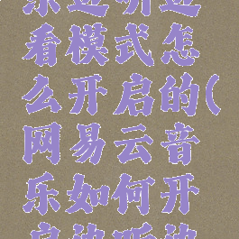 网易云音乐边听边看模式怎么开启的(网易云音乐如何开启边听边存)