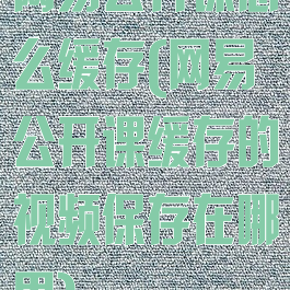 网易公开课怎么缓存(网易公开课缓存的视频保存在哪里)