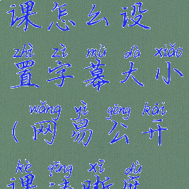 网易公开课怎么设置字幕大小(网易公开课清晰度怎么调)