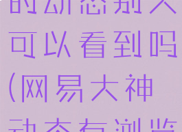 网易大神发的动态别人可以看到吗(网易大神动态有浏览记录吗)