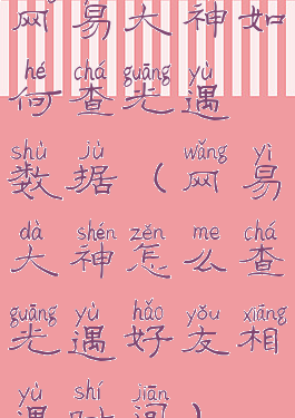 网易大神如何查光遇数据(网易大神怎么查光遇好友相遇时间)