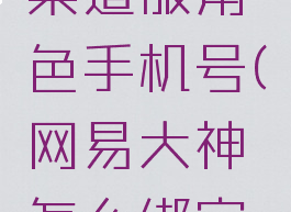 网易大神怎么绑定渠道服角色手机号(网易大神怎么绑定渠道服角色手机号)