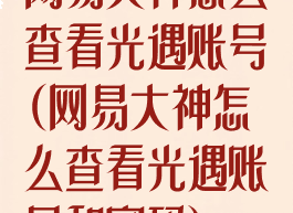 网易大神怎么查看光遇账号(网易大神怎么查看光遇账号和密码)