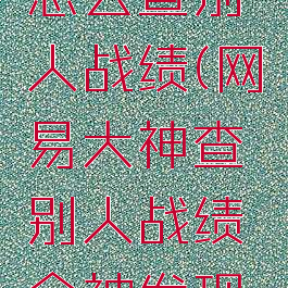 网易大神怎么查别人战绩(网易大神查别人战绩会被发现吗)