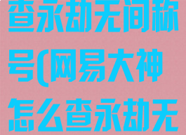 网易大神怎么查永劫无间称号(网易大神怎么查永劫无间称号统计)
