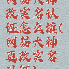 网易大神改实名认证怎么填(网易大神更改实名认证)