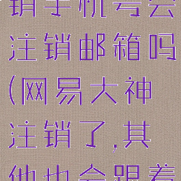 网易大神注销手机号会注销邮箱吗(网易大神注销了,其他也会跟着消失嘛)