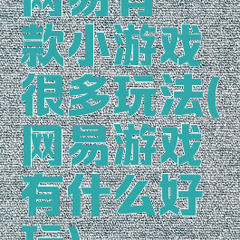 网易有一款小游戏很多玩法(网易游戏有什么好玩)