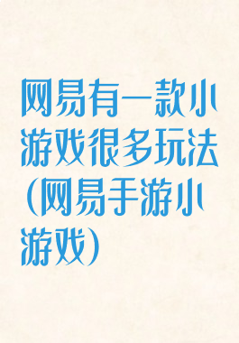 网易有一款小游戏很多玩法(网易手游小游戏)