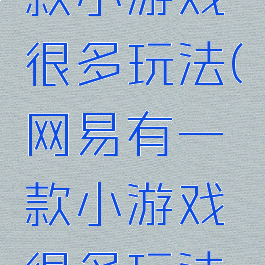 网易有一款小游戏很多玩法(网易有一款小游戏很多玩法叫什么)