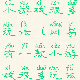 网易有一款小游戏很多玩法(网易有一款小游戏很多玩法是什么)