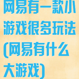 网易有一款小游戏很多玩法(网易有什么大游戏)