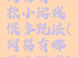 网易有一款小游戏很多玩法(网易有哪些小游戏)