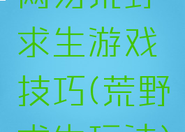 网易荒野求生游戏技巧(荒野求生玩法)