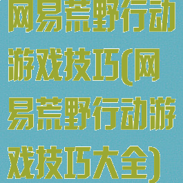 网易荒野行动游戏技巧(网易荒野行动游戏技巧大全)