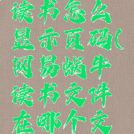 网易蜗牛读书怎么显示页码(网易蜗牛读书文件在哪个文件夹)