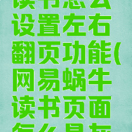 网易蜗牛读书怎么设置左右翻页功能(网易蜗牛读书页面怎么是灰色的了)