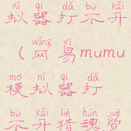 网易mumu模拟器打不开(网易mumu模拟器打不开猎魂觉醒)