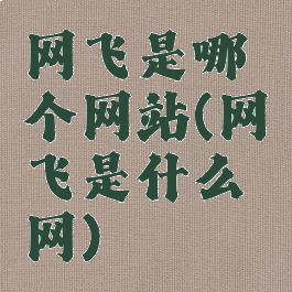 网飞是哪个网站(网飞是什么网)