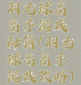 羽毛球高高手游戏秘籍(羽毛球高高手游戏攻略)