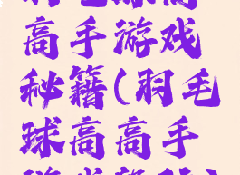 羽毛球高高手游戏秘籍(羽毛球高高手游戏段位)