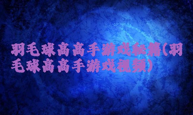 羽毛球高高手游戏秘籍(羽毛球高高手游戏视频)