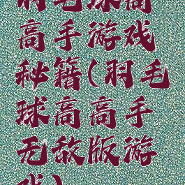 羽毛球高高手游戏秘籍(羽毛球高高手无敌版游戏)