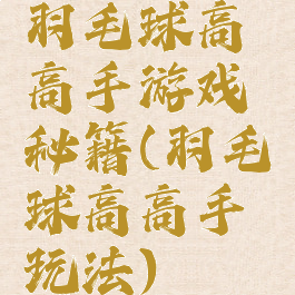 羽毛球高高手游戏秘籍(羽毛球高高手玩法)
