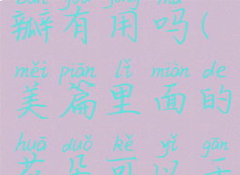 美篇的花瓣有用吗(美篇里面的花朵可以干嘛)