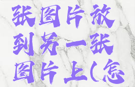 美图秀秀怎么把一张图片放到另一张图片上(怎么在照片上加小图)