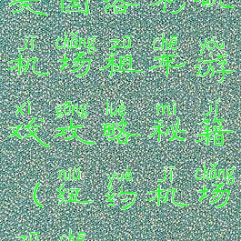 美国洛杉矶机场租车游戏攻略秘籍(纽约机场租车)