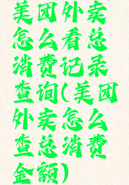 美团外卖怎么看总消费记录查询(美团外卖怎么查总消费金额)