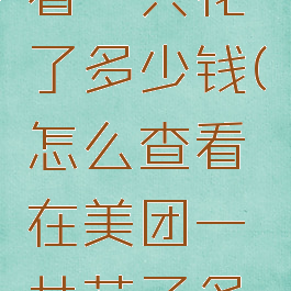 美团如何看一共花了多少钱(怎么查看在美团一共花了多少钱)