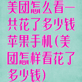 美团怎么看一共花了多少钱苹果手机(美团怎样看花了多少钱)